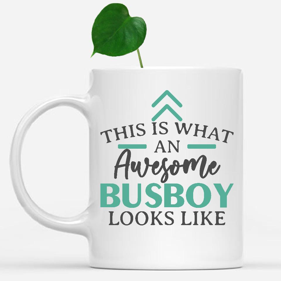 white-mug-Funny-Busboy-Mug-This-Is-What-An-Awesome-Busboy-Looks-Like-900380