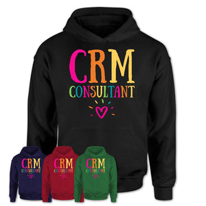 Crm Consultant Rainbow Lettering Heart Shirt, Employee Appreciation Gifts