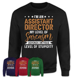 Funny Assistant Director Shirt My Level of Sarcasm Depends on Your Level Of Stupidity T Shirt