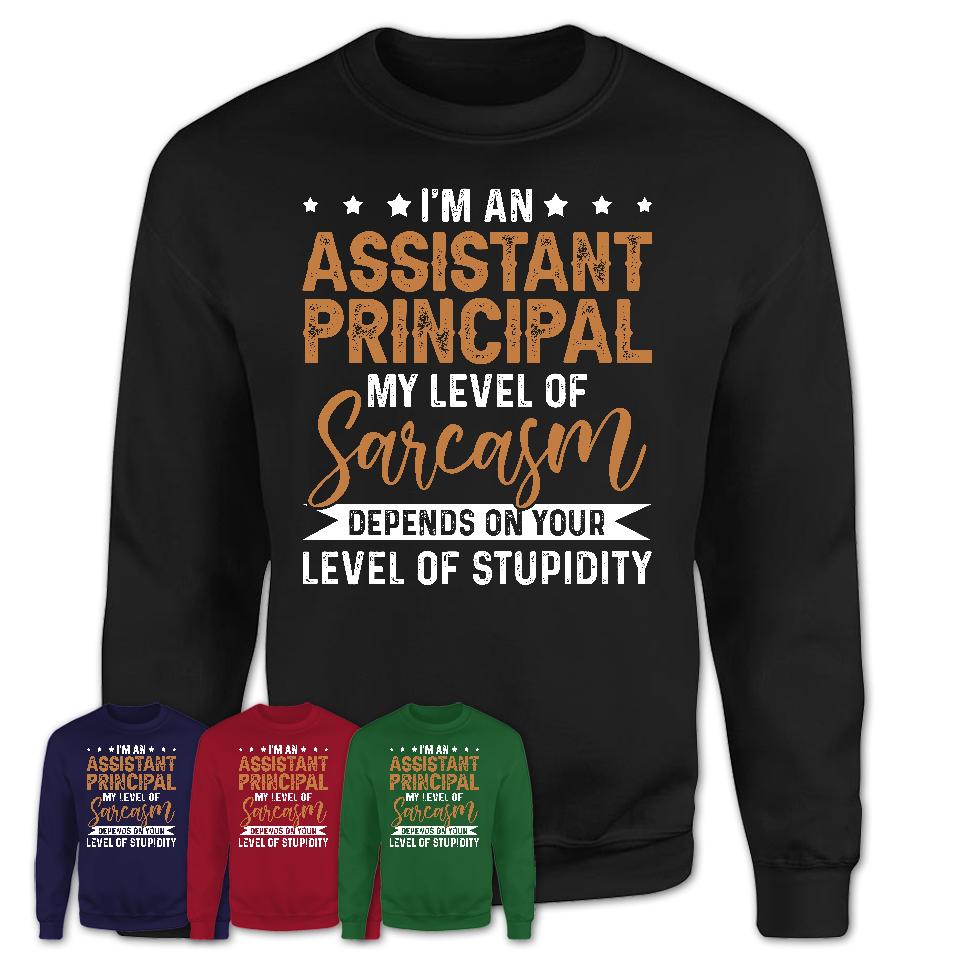 Funny Assistant Principal Shirt My Level of Sarcasm Depends on Your Level Of Stupidity T Shirt