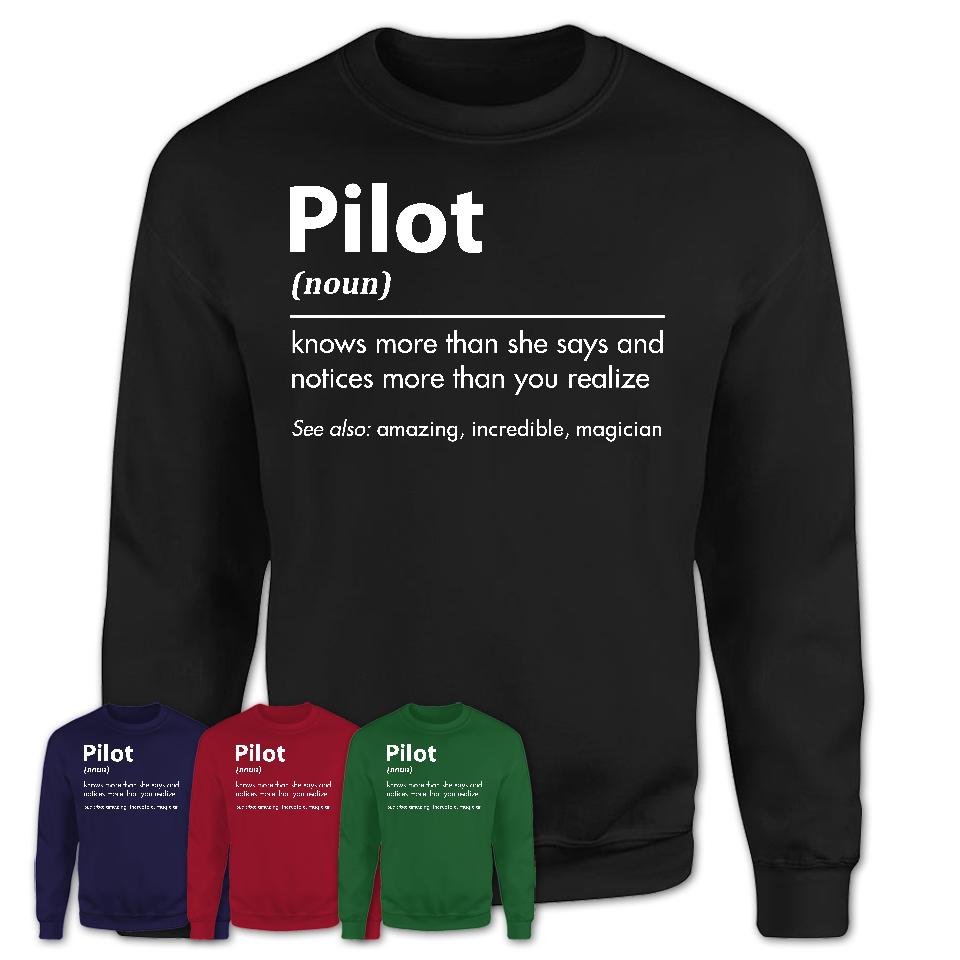Funny Pilot Definition Shirt, New Job Gift for Pilot, Coworker Gift Idea