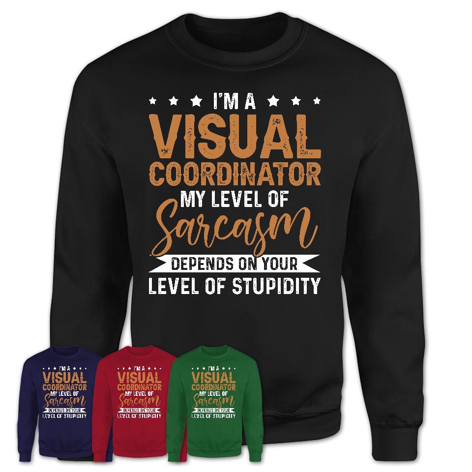 Funny Visual Coordinator Shirt My Level of Sarcasm Depends on Your Level Of Stupidity T Shirt