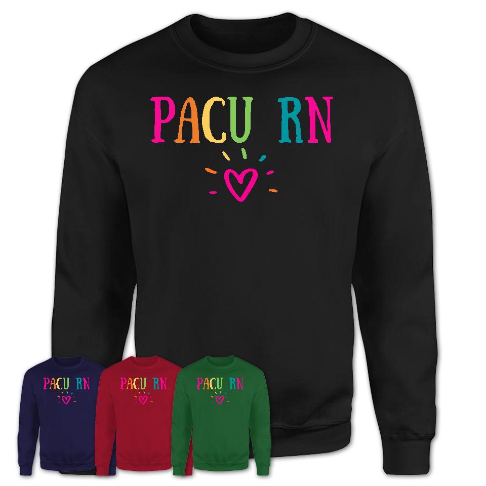 Pacu Rn Rainbow Lettering Heart Shirt, Employee Appreciation Gifts