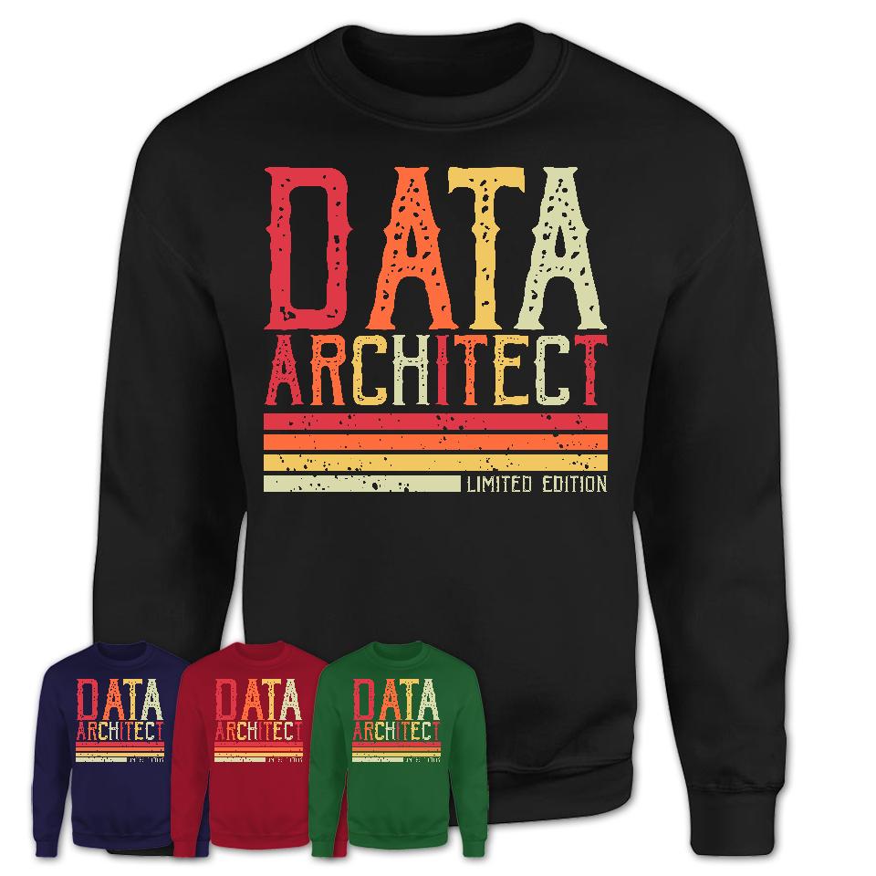 Vintage Data Architect Limited Edition Job Shirt, Coworker Birthday Gift Idea