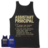 Vintage Assistant Principal Definition Shirt, Funny Coworker Gift Idea for Assistant Principal, New Job Gift