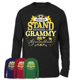 Unisex-Long-Sleeve-T-Shirt-Never-Stand-Between-A-GRAMMY-And-Her-Grandkids-Gift-for-Grandma-Birthday-Custom-Sunflowers-Grandma-T-shirt-4.jpg