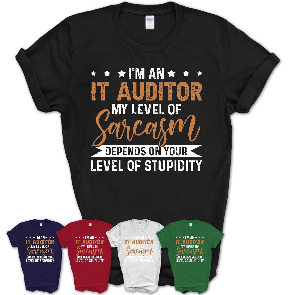 Funny It Auditor Shirt My Level of Sarcasm Depends on Your Level Of Stupidity T Shirt