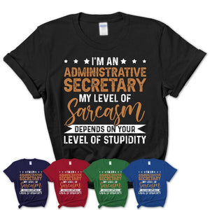 Funny Administrative Secretary Shirt My Level of Sarcasm Depends on Your Level Of Stupidity T Shirt