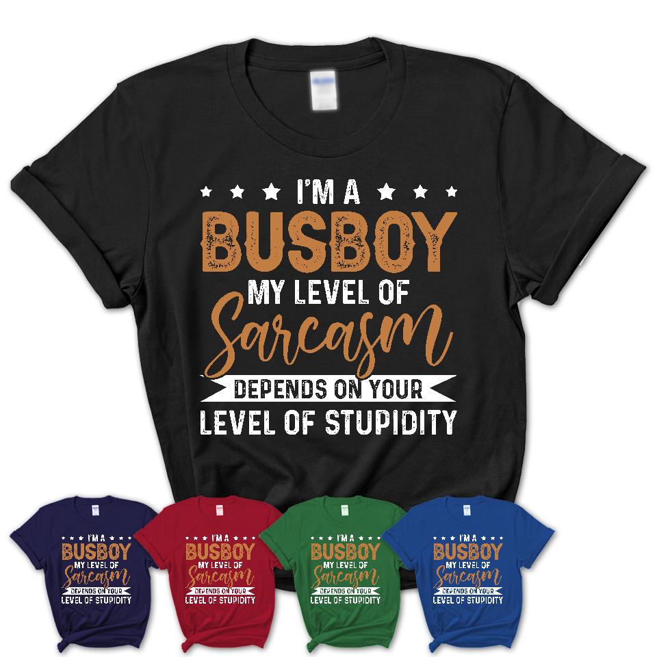 Funny Busboy Shirt My Level of Sarcasm Depends on Your Level Of Stupidity T Shirt