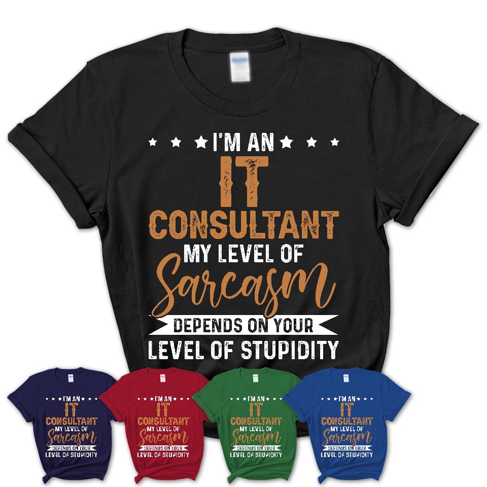 Funny It Consultant Shirt My Level of Sarcasm Depends on Your Level Of Stupidity T Shirt