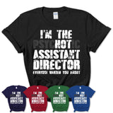 I'm The Psychotic Assistant Director Everyone Warned You About Funny Coworker Tshirt