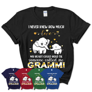 Womens-T-Shirt-Someone-Called-Me-GRAMMI-Shirt-Elephant-Grandma-T-shirt-Gift-Ideas-for-Grandmas-30.jpg