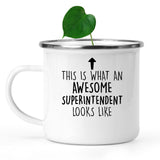camping-mug-Funny-Superintendent-Mug,-Going-Away-Gifts,-Birthday-Gift-For-Coworkers-802967