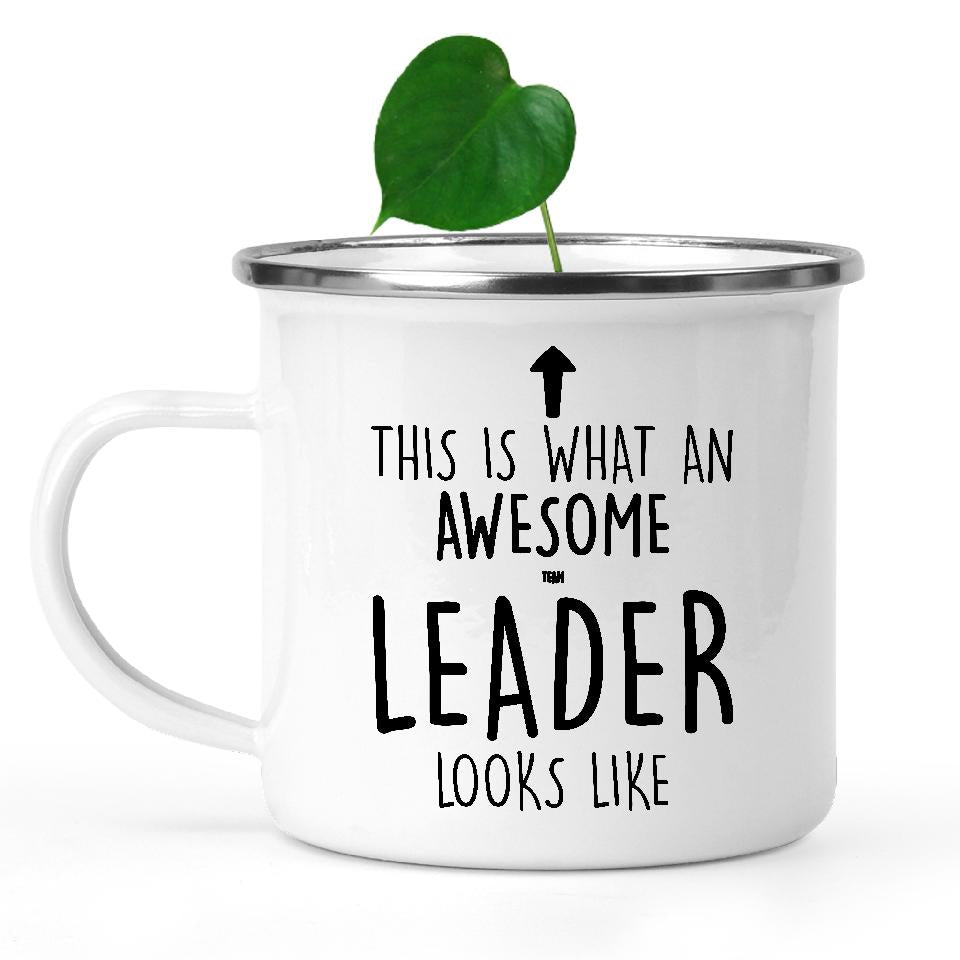 camping-mug-Funny-Team-Leader-Mug,-Going-Away-Gifts,-Birthday-Gift-For-Coworkers-803040