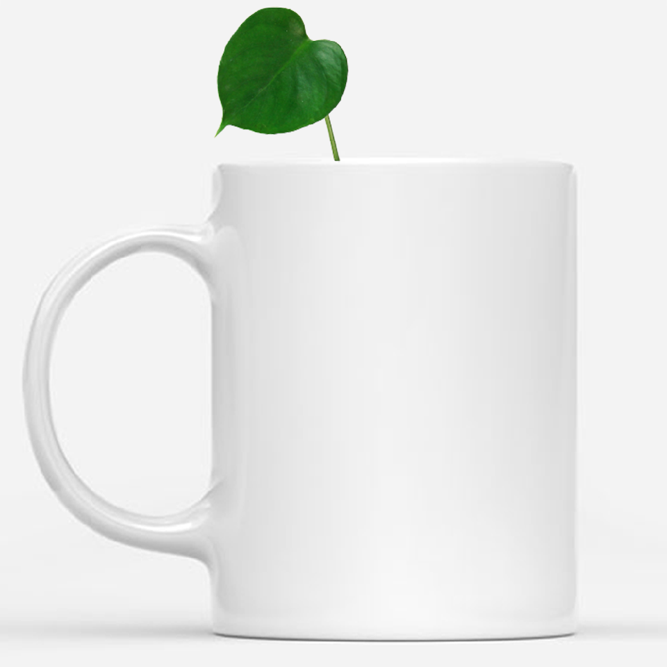 White Mug