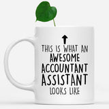 white-mug-Funny-Accountant-Assistant-Mug,-Going-Away-Gifts,-Birthday-Gift-For-Coworkers-500015
