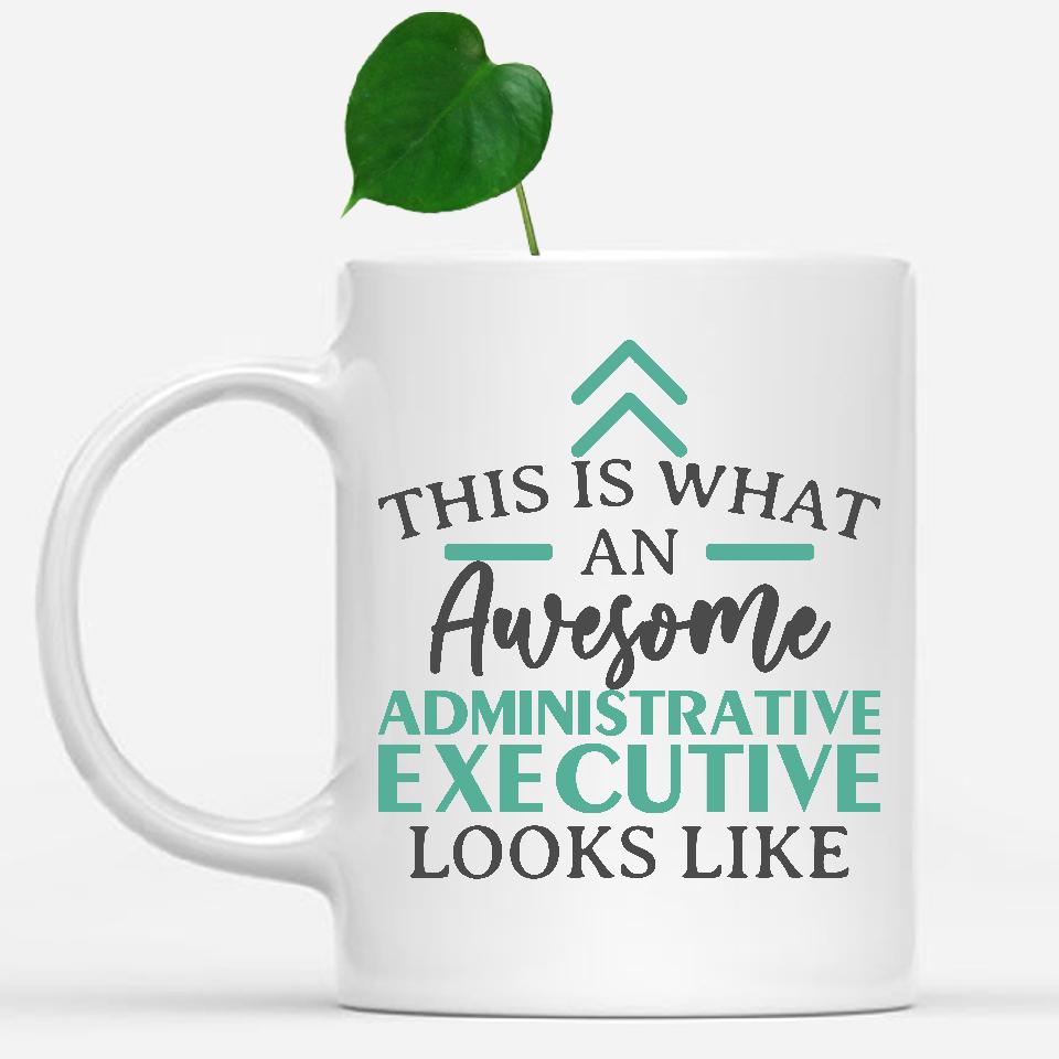 white-mug-Funny-Administrative-Executive-Mug-This-Is-What-An-Awesome-Administrative-Executive-Looks-Like-900069