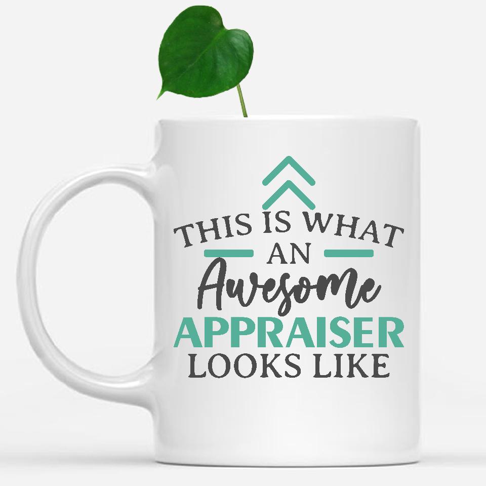 white-mug-Funny-Appraiser-Mug-This-Is-What-An-Awesome-Appraiser-Looks-Like-900146