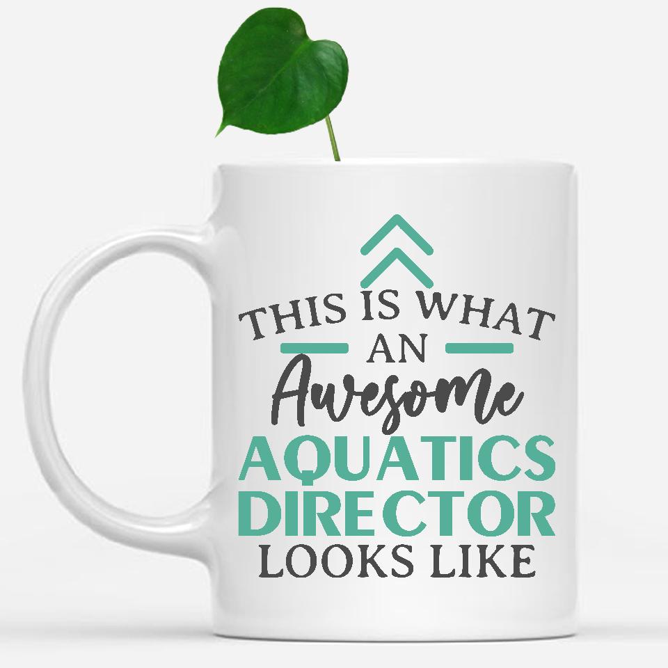 white-mug-Funny-Aquatics-Director-Mug-This-Is-What-An-Awesome-Aquatics-Director-Looks-Like-900149