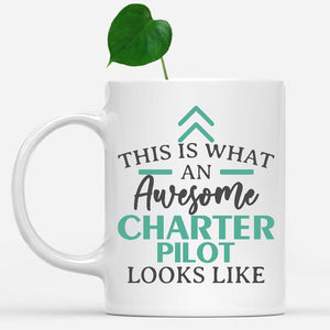 white-mug-Funny-Charter-Pilot-Mug-This-Is-What-An-Awesome-Charter-Pilot-Looks-Like-600463