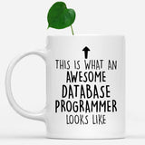 white-mug-Funny-Database-Programmer-Mug,-Going-Away-Gifts,-Birthday-Gift-For-Coworkers-800784