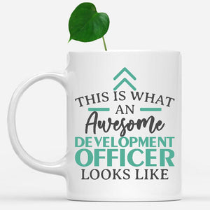 white-mug-Funny-Development-Officer-Mug-This-Is-What-An-Awesome-Development-Officer-Looks-Like-900841