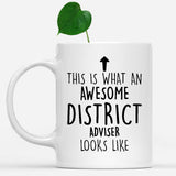 white-mug-Funny-District-Adviser-Mug,-Going-Away-Gifts,-Birthday-Gift-For-Coworkers-500868