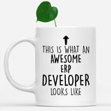 white-mug-Funny-Erp-Developer-Mug,-Going-Away-Gifts,-Birthday-Gift-For-Coworkers-801012