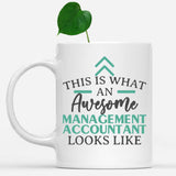 white-mug-Funny-Management-Accountant-Mug-This-Is-What-An-Awesome-Management-Accountant-Looks-Like-901755