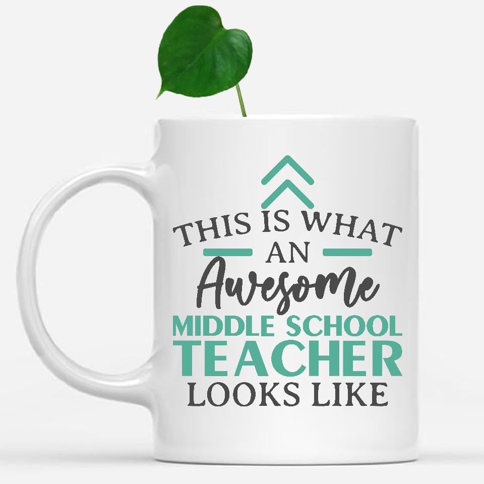 white-mug-Funny-Middle-School-Teacher-Mug-This-Is-What-An-Awesome-Middle-School-Teacher-Looks-Like-601768