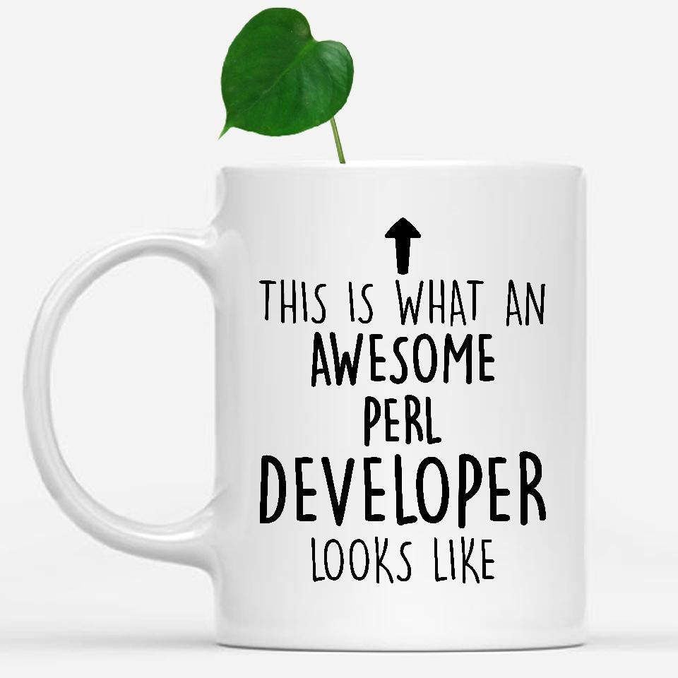white-mug-Funny-Perl-Developer-Mug,-Going-Away-Gifts,-Birthday-Gift-For-Coworkers-802188