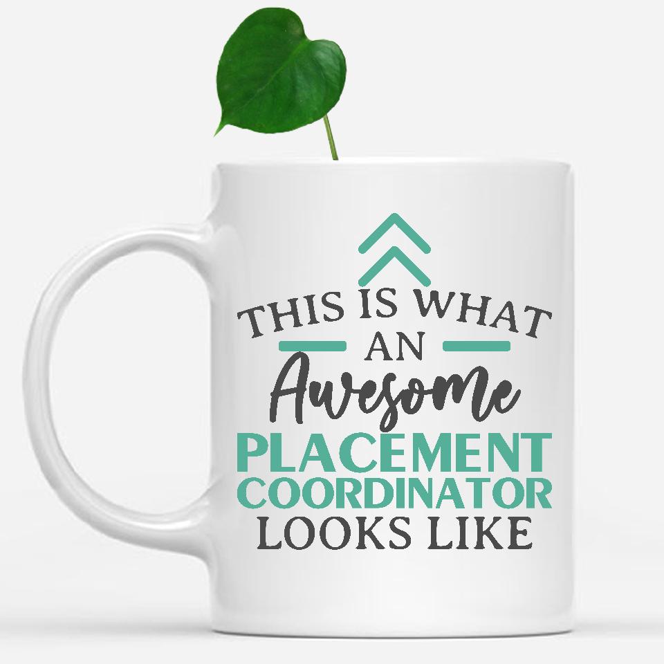 white-mug-Funny-Placement-Coordinator-Mug-This-Is-What-An-Awesome-Placement-Coordinator-Looks-Like-902248