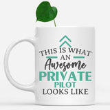 white-mug-Funny-Private-Pilot-Mug-This-Is-What-An-Awesome-Private-Pilot-Looks-Like-602167