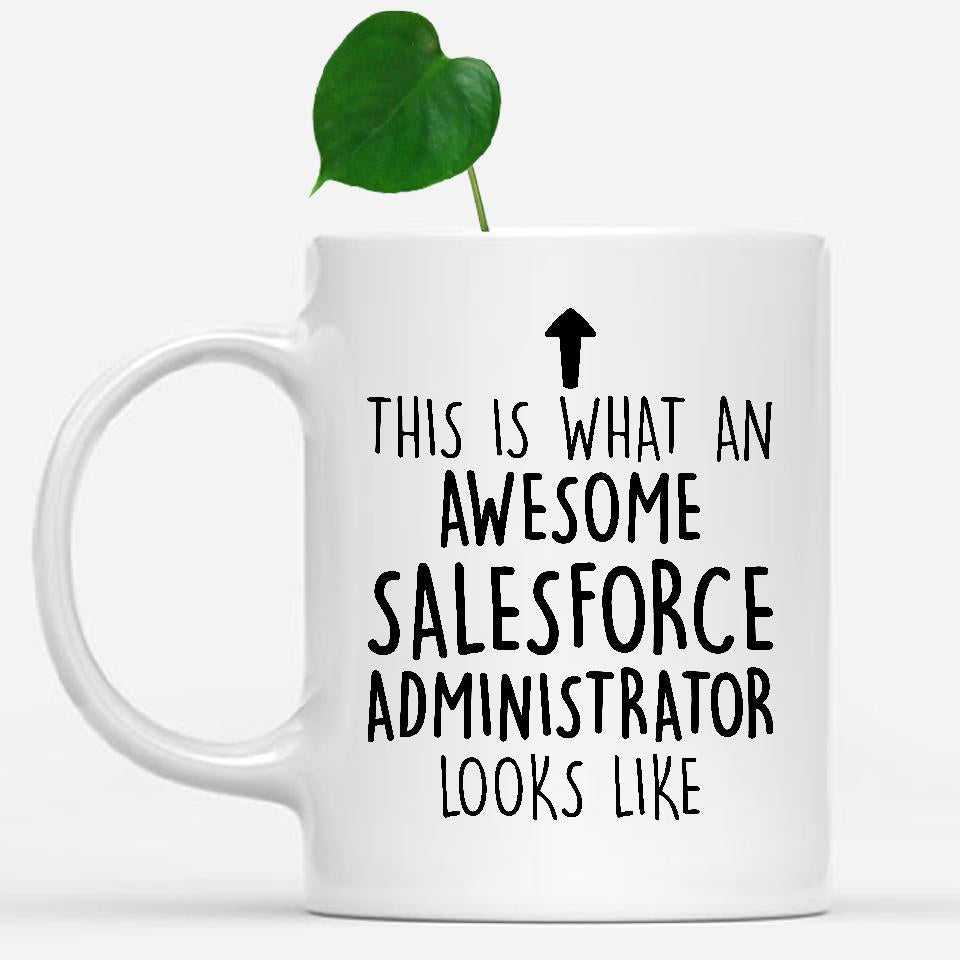white-mug-Funny-Salesforce-Administrator-Mug,-Going-Away-Gifts,-Birthday-Gift-For-Coworkers-802710