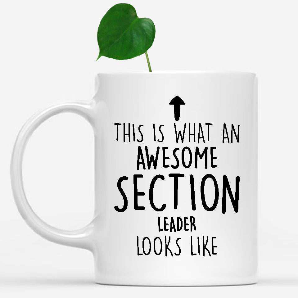 white-mug-Funny-Section-Leader-Mug,-Going-Away-Gifts,-Birthday-Gift-For-Coworkers-502502