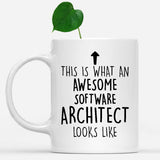 white-mug-Funny-Software-Architect-Mug,-Going-Away-Gifts,-Birthday-Gift-For-Coworkers-802854