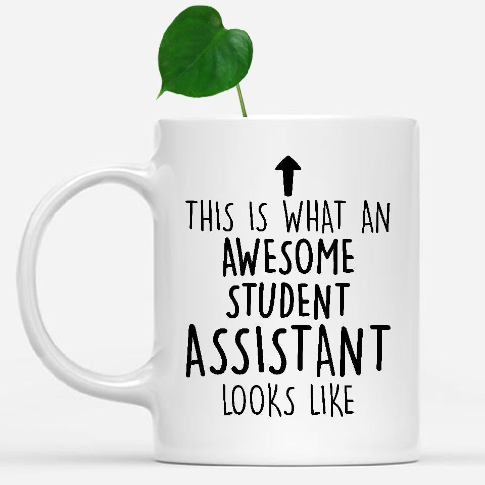 white-mug-Funny-Student-Assistant-Mug,-Going-Away-Gifts,-Birthday-Gift-For-Coworkers-802955