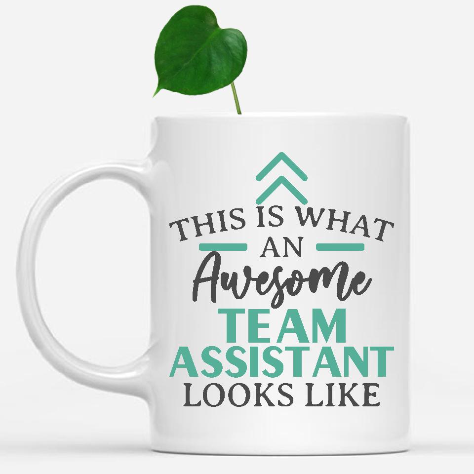 white-mug-Funny-Team-Assistant-Mug-This-Is-What-An-Awesome-Team-Assistant-Looks-Like-903038