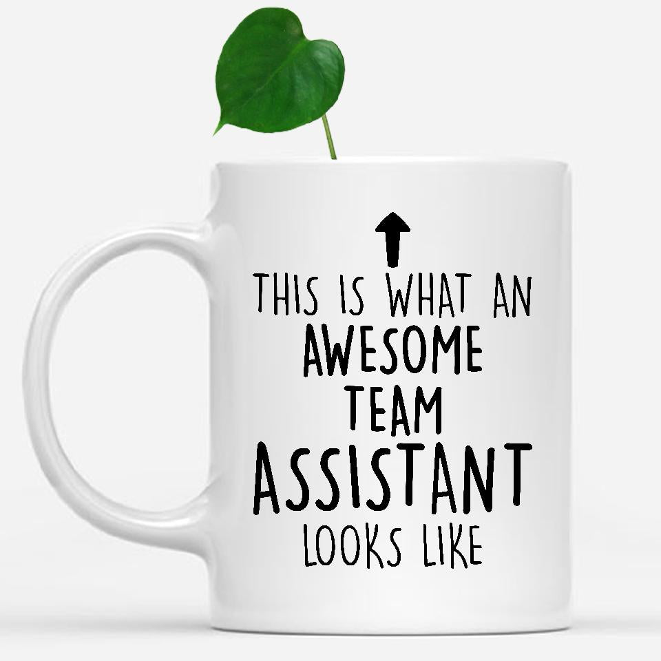 white-mug-Funny-Team-Assistant-Mug,-Going-Away-Gifts,-Birthday-Gift-For-Coworkers-803038