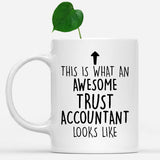 white-mug-Funny-Trust-Accountant-Mug,-Going-Away-Gifts,-Birthday-Gift-For-Coworkers-803193