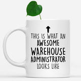 white-mug-Funny-Warehouse-Administrator-Mug,-Going-Away-Gifts,-Birthday-Gift-For-Coworkers-803291